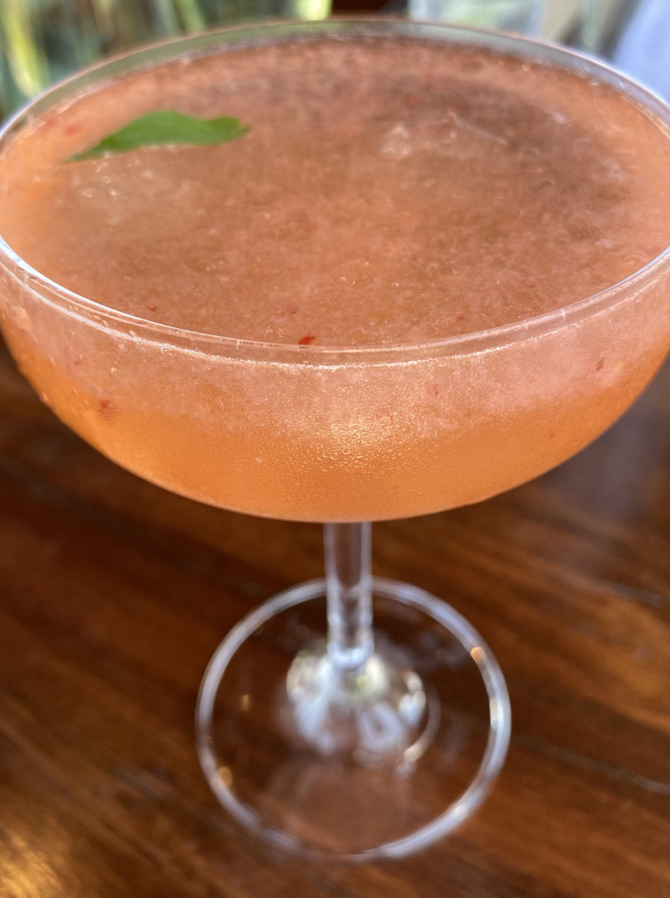Songbird Spritz Cocktail with Songbird Gin